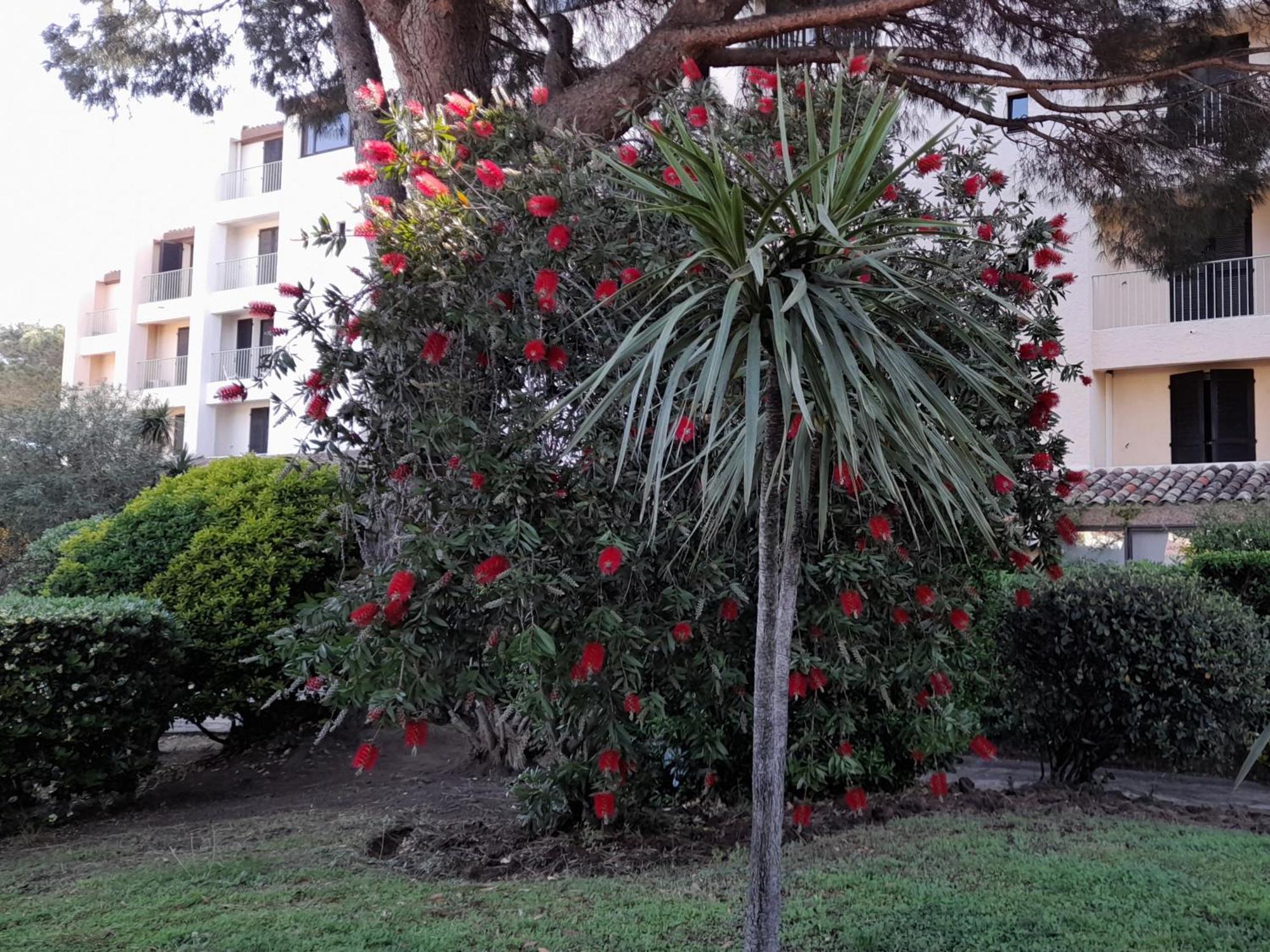 Ferienwohnung Marina Bella Cogolin Exterior foto